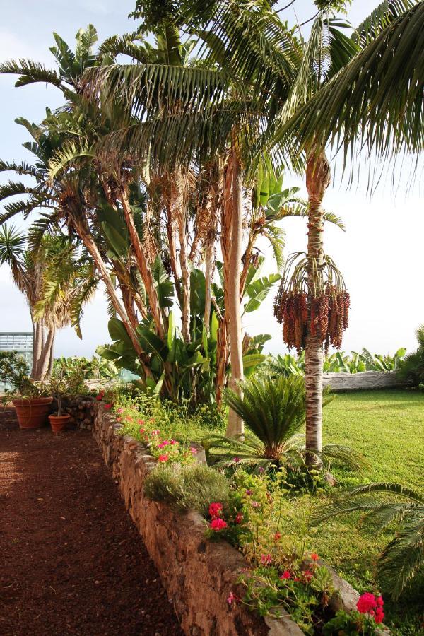 Finca El Patio لوس رياليخوس المظهر الخارجي الصورة
