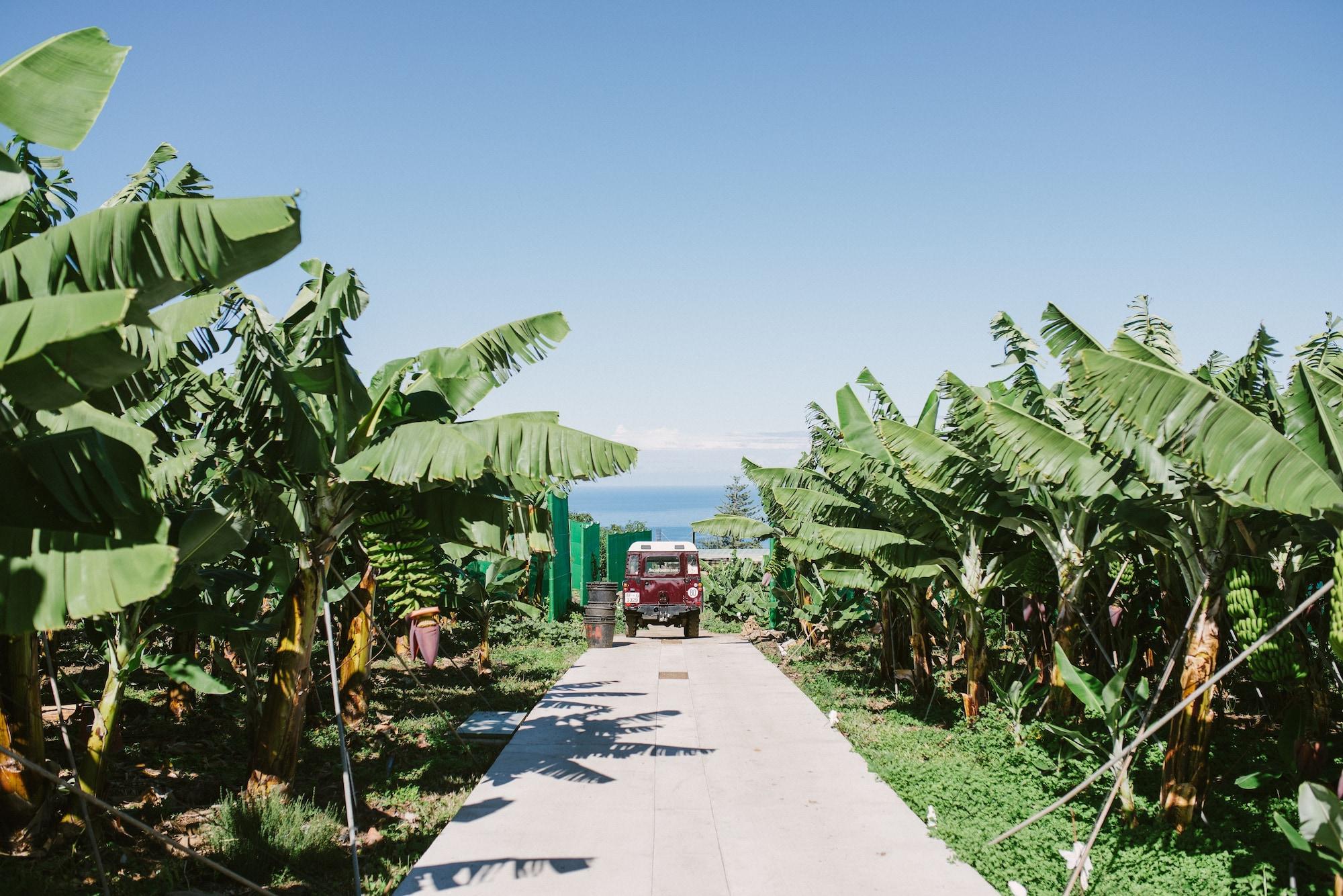 Finca El Patio لوس رياليخوس المظهر الخارجي الصورة