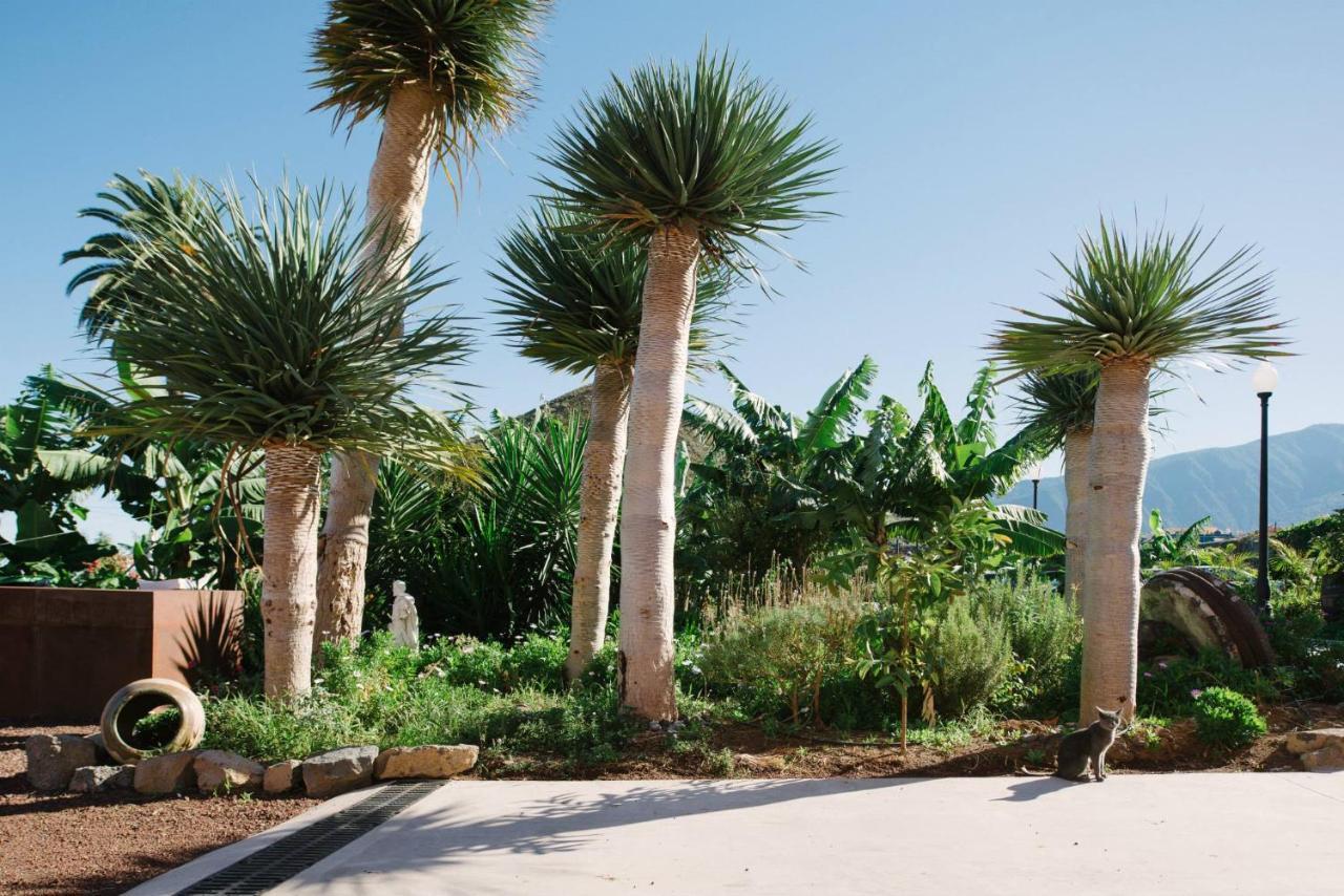 Finca El Patio لوس رياليخوس المظهر الخارجي الصورة