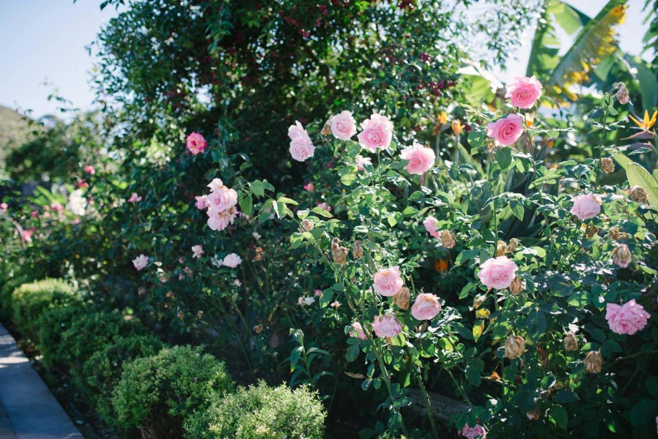 Finca El Patio لوس رياليخوس المظهر الخارجي الصورة