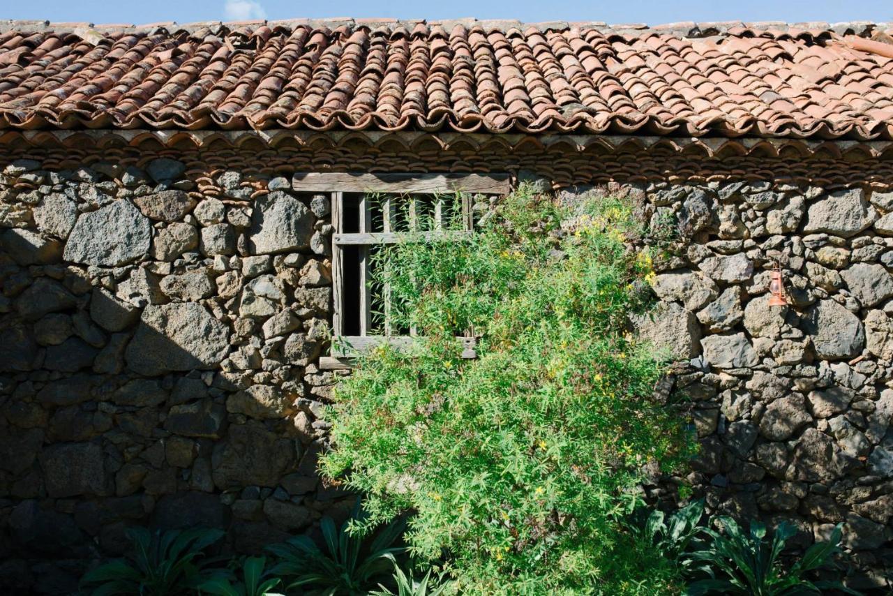 Finca El Patio لوس رياليخوس المظهر الخارجي الصورة